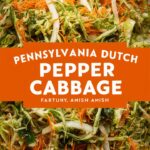 Pennsylvania Dutch Pepper Cabbage